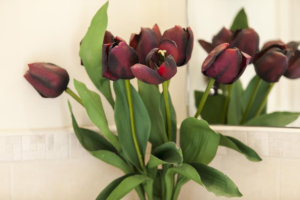Dublin Vacation Rentals Экстерьер фото
